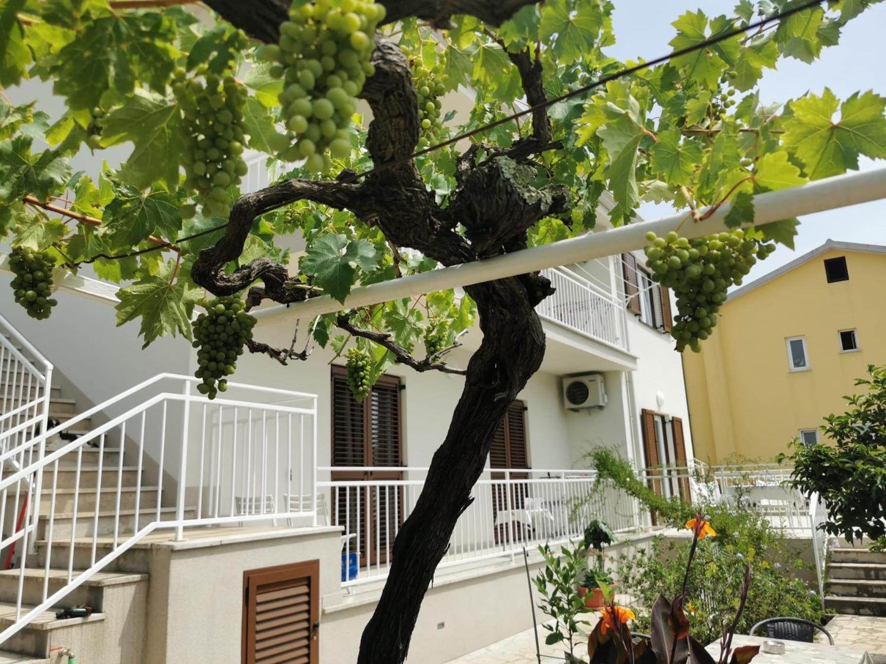 Residence Pical Porec Exterior photo